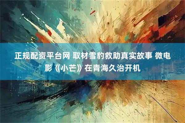 正规配资平台网 取材雪豹救助真实故事 微电影《小芒》在青海久治开机